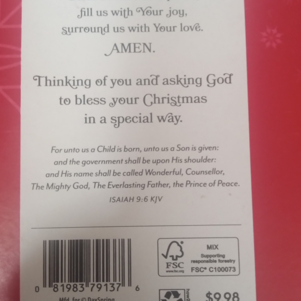 DaySpring Christmas Prayer Card - Picture 5 of 5